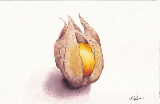 Gooseberry (print)