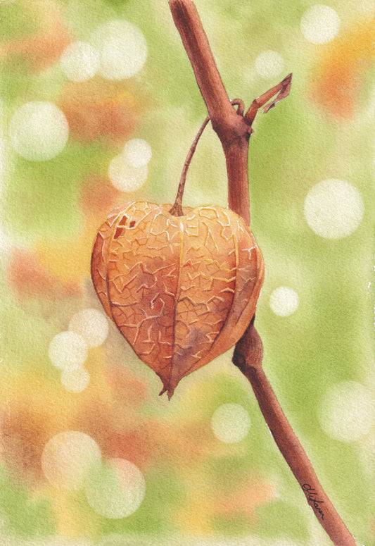 Gooseberry and Bokeh Background (print)