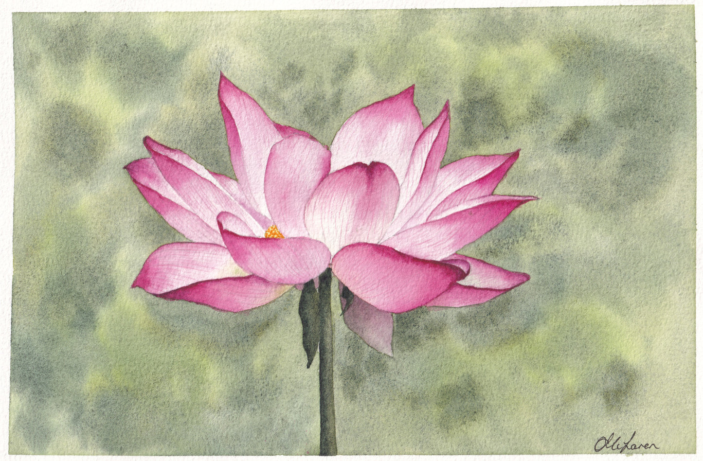 Lotus Flower (original)