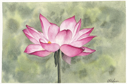Lotus Flower (print)