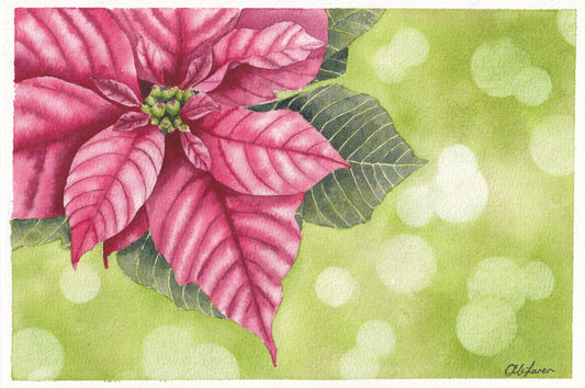Poinsettia (print)