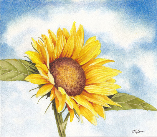 Sunflower (print)
