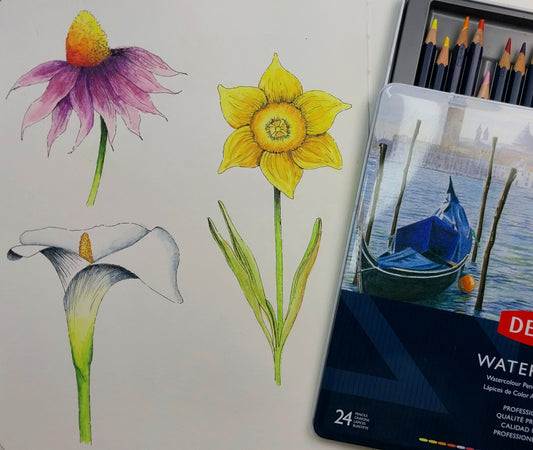 Watercolor Pencils