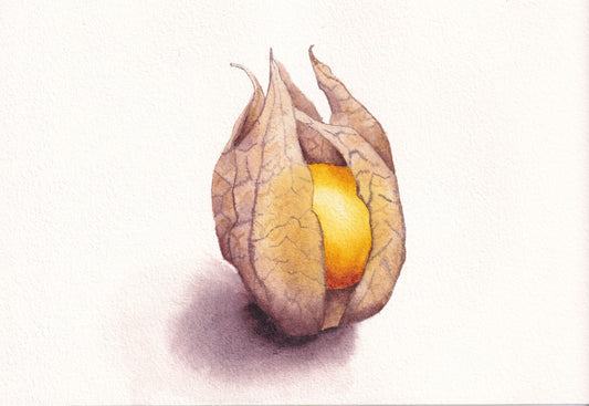 Gooseberry