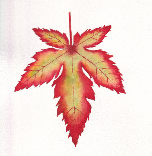 Fall Leaf