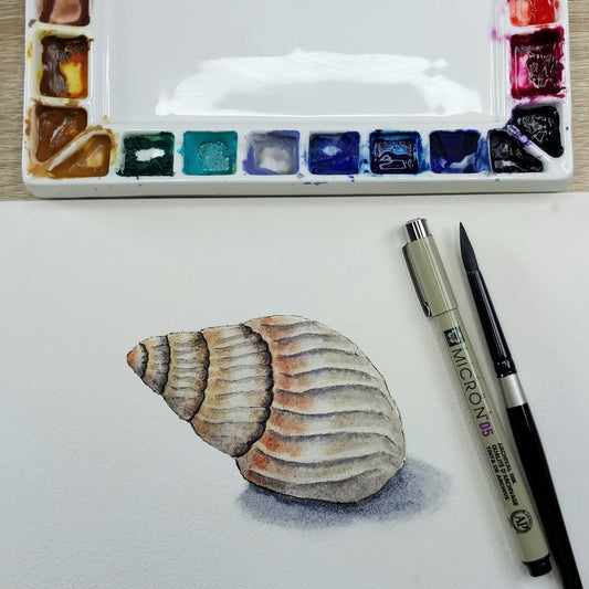Shell